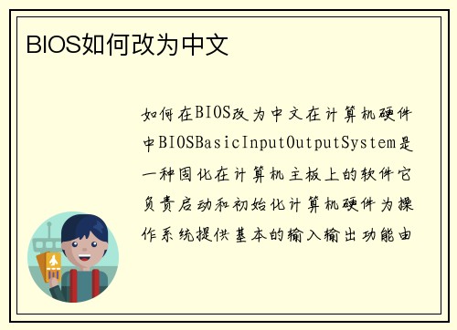 BIOS如何改为中文